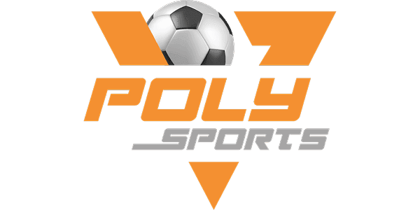 POLY গেমিং logo